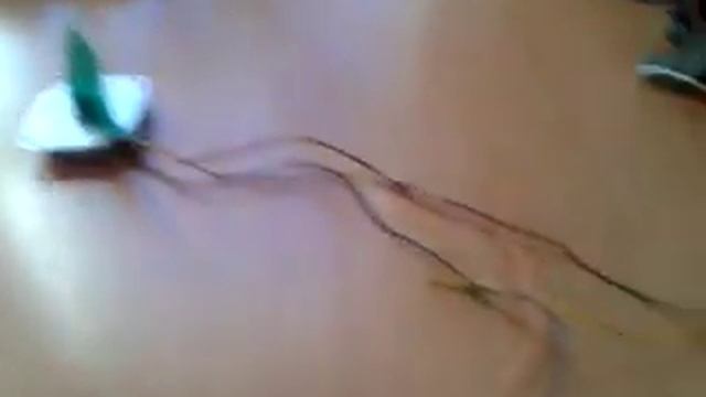 Запуск шагового двигателя без использования контроллера !!! смотреть онлайн