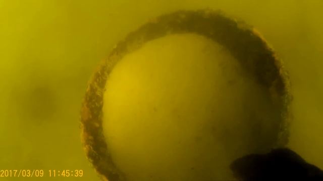водолазные работы смотреть онлайн