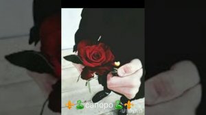 New 2023 цыганская песня А я кайфую мне по барабану ⚜️😈🕊️⚜️😈🕊️⚜️😈🕊️