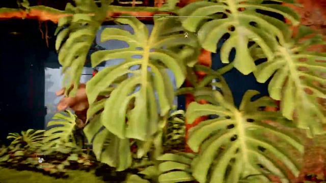 Horizon Запретный Запад (ну так себе открытый мир) смотреть онлайн