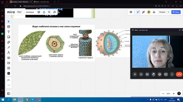 Вирусы смотреть онлайн