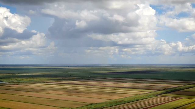 Caladium Fields from Above - Lake Placid, FL смотреть онлайн