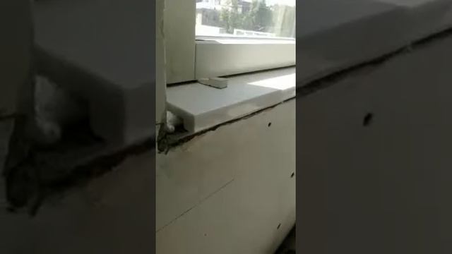 Подоконники из акрилового камня Hi-macs