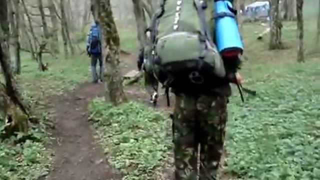 Призрачный лес смотреть онлайн