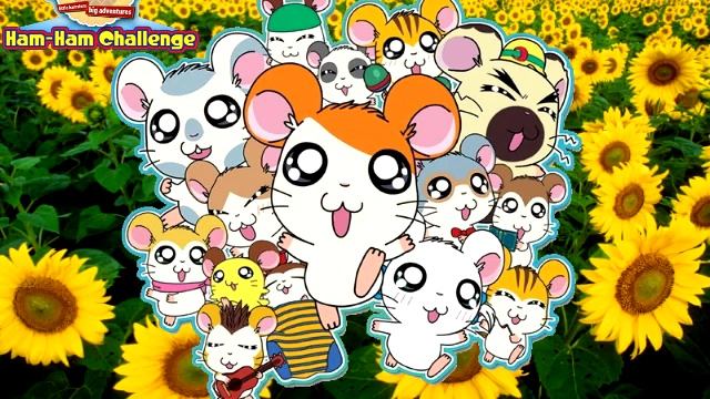 Hi! Hamtaro Ham-Ham Challenge Music: Square смотреть онлайн