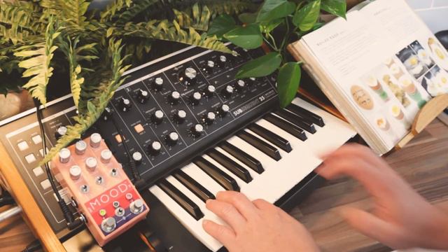Breakfast is Ready // Chase Bliss Mood + Moog Subsequent 25 смотреть онлайн