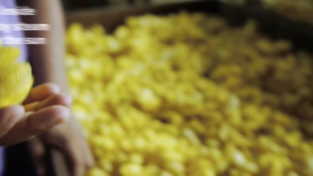 How silkworms make silk смотреть онлайн