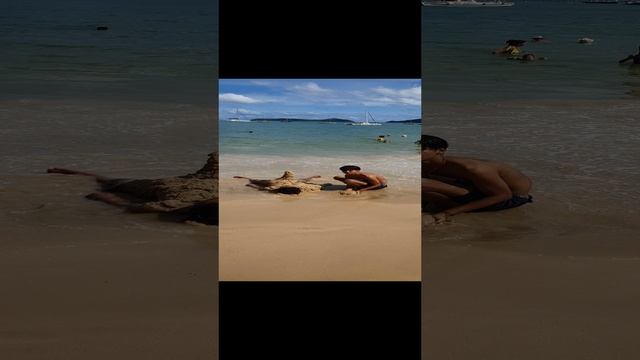 красивый песчаный пляж с яхтами Пхукет Ao-Yon Beach смотреть онлайн