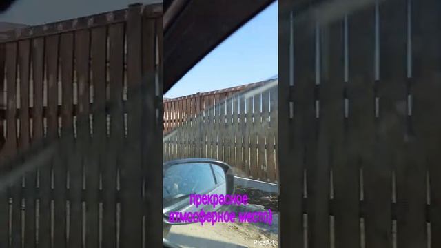 Участки в березовом, еловом и сосновом лесу смотреть онлайн