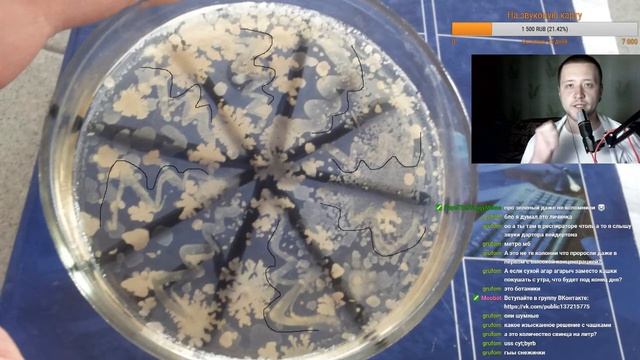 Science_Stream#31 (Микробиологическое исследование) смотреть онлайн