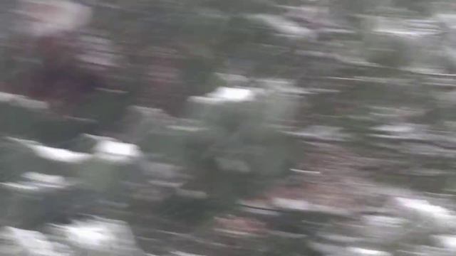 беличье гайно возле дома смотреть онлайн