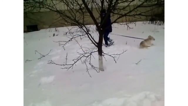 Пишу стихи! Пусть мама услышит смотреть онлайн