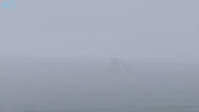 5 РЕАЛЬНЫХ КРАКЕНОВ СНЯТЫХ НА КАМЕРУ смотреть онлайн