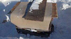 Облëт самых зимостойких.