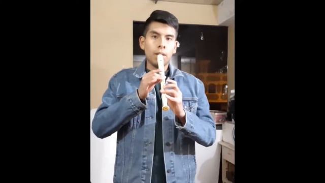 LOCO TU FORMA DE SER FLAUTA DULCE COVER смотреть онлайн