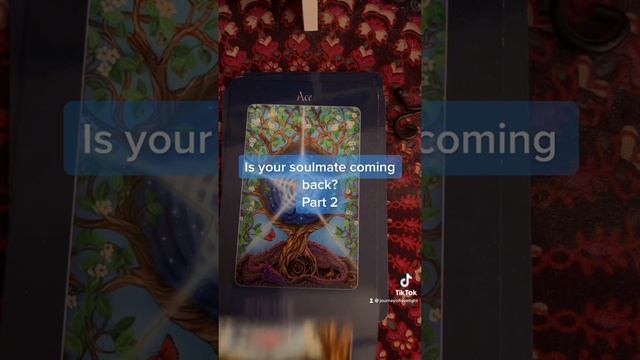 Is your soulmate coming back? Part 2 #Journeyofloveandlight #Oracle #Tarot #Timeless смотреть онлайн