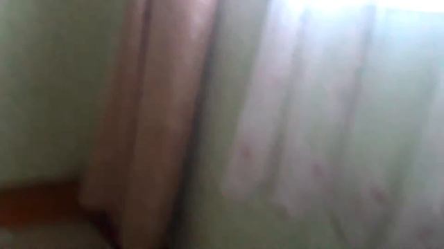 Мы кажется стали нубами в клеш рояль