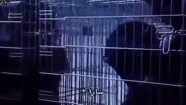 فيلم الرومانسية الممنوع من العرض الحب هو الحياة للكبار فقط 2020 مترجم hd смотреть онлайн