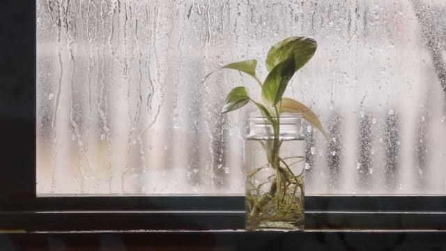 22 апреля Светлая Суббота. Народный праздник Вадим Ключник. Народные приметы, традиции и запреты. смотреть онлайн