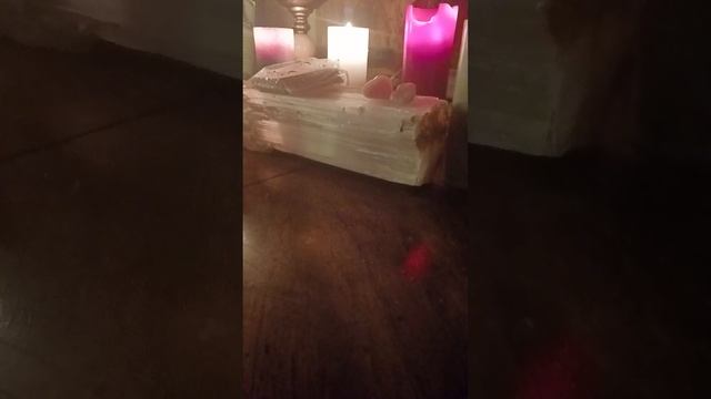 Selenite Log(cleanses crystals,tarot cards,jewelry or oracle cards смотреть онлайн