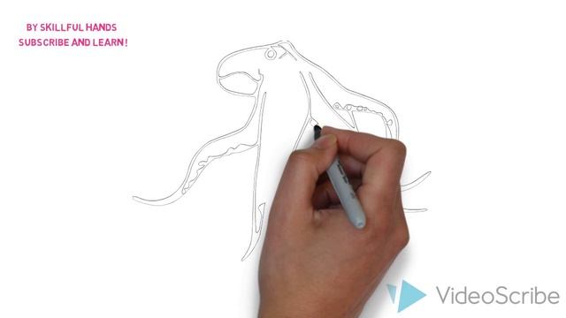 How to Draw an Octopus / Как нарисовать осьминога смотреть онлайн