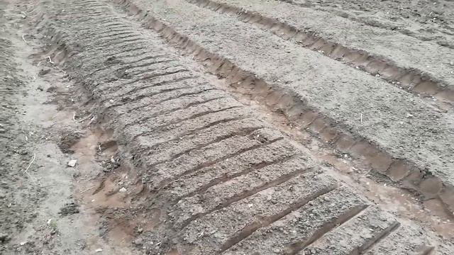 БАБА СЕЯЛА горох.., а ещё огурцы, свёклу, лук, чеснок, морковь-ОХ смотреть онлайн