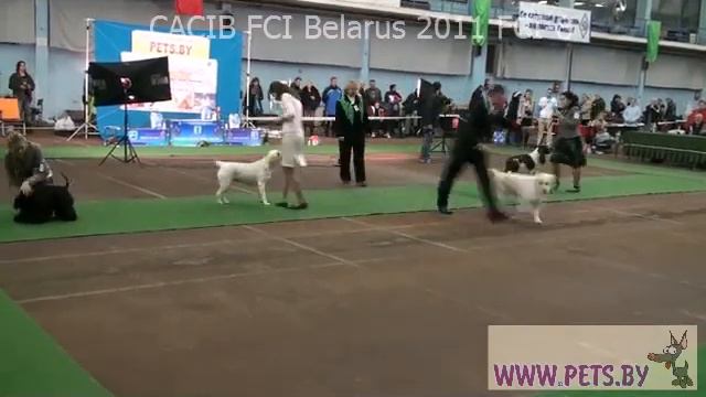 FCI-8.mp4 смотреть онлайн