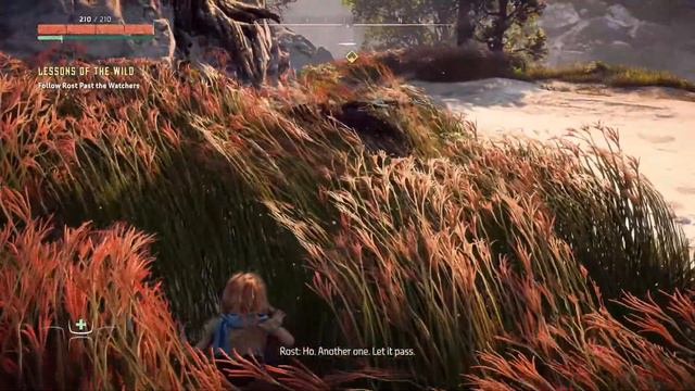 Horizon Zero Dawn Complete Edition PC | Part 01 смотреть онлайн