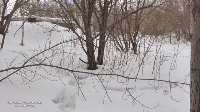 Весна в Нижнем Тагиле, река Тагил. Весна 26.03.2021 г.(4к) смотреть онлайн