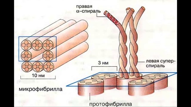 Как создать паутину Человека Паука? [Технологии, MARVEL]