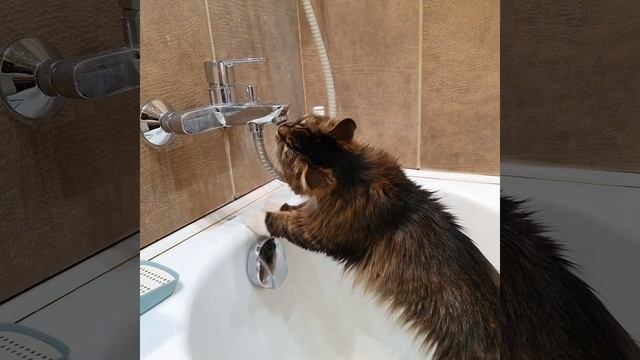 Водный камень это... смотреть онлайн