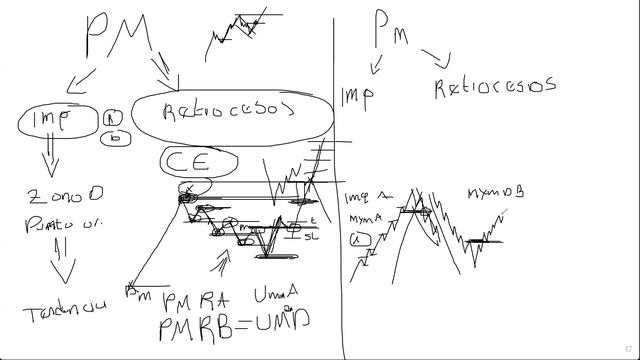 Clase explicativa Puntos Macro y Micro (Grupo de estudiantes) смотреть онлайн