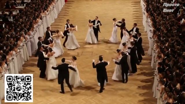 73 Ласковой зверь. Год Тюльпана и Енота. #рид, #музпарамир, #енотпарамир, #годбумаги,  #мишьен,# смотреть онлайн