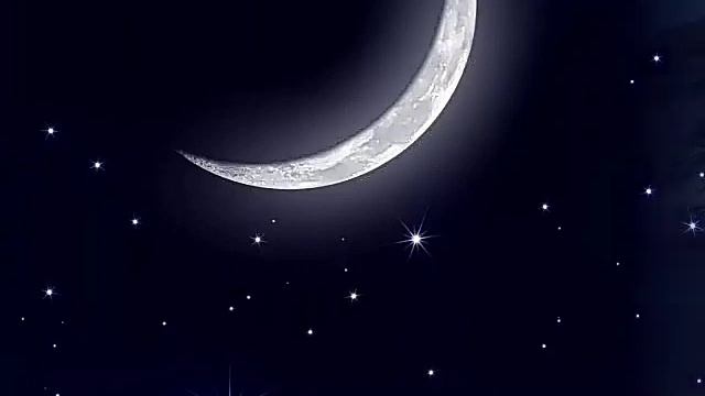 ИСКРИЛИСЬ ЗВЕЗДЫ НАД ЛУНОЙ ВДАЛИ///СТИХИ АЛЕКСЕЙ СВЕТЛЫЙ смотреть онлайн