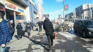 Питер Проспект Просвещения и район вокруг