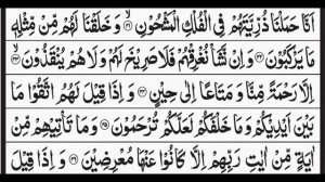 Surah Yaseen (Yasin) | Full With Arabic Text | Episode 01 | Quran Recitation Daily