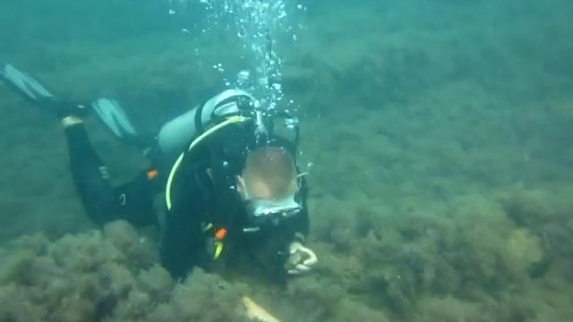 НАШЕЛ РАПАНА. Чёрное море смотреть онлайн