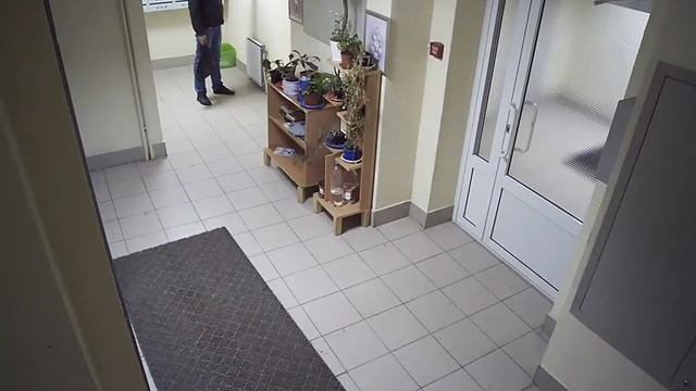 Похититель картин в подъезде смотреть онлайн