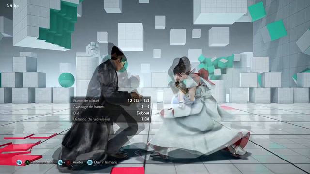 Frame Data - Introduction [FR] смотреть онлайн