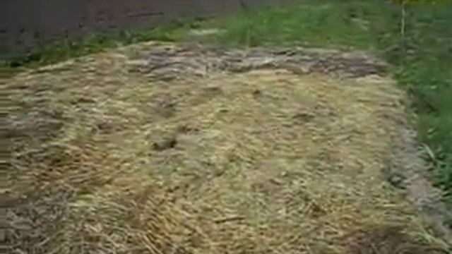 Ну очень ленивый огород смотреть онлайн