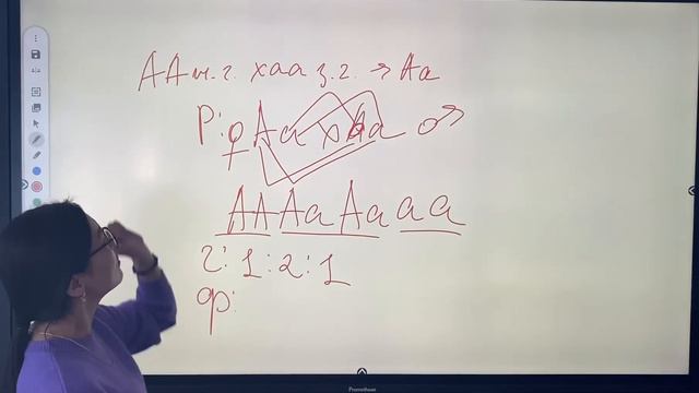 2 закон Менделя смотреть онлайн