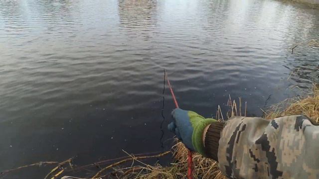 Старые места на Поисковый Магнит