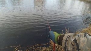 Старые места на Поисковый Магнит