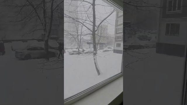 Студия 11м2. ул Базовская 10 смотреть онлайн