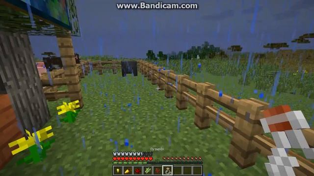 Как сварить зелье ночного зрения в Minecraft смотреть онлайн