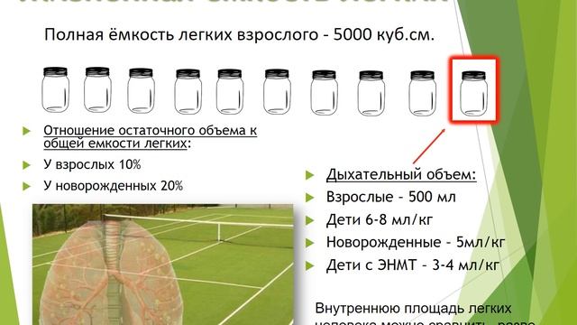 Презентация "Терминальные состояния и базовая сердечно-лёгочная реанимация" смотреть онлайн