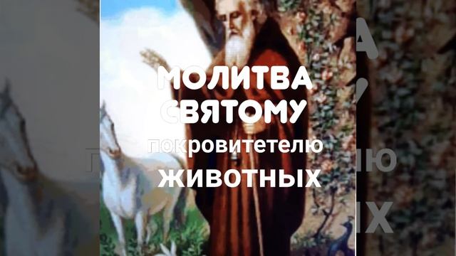 Молитва Святому покровитетелю животных, Власию. смотреть онлайн