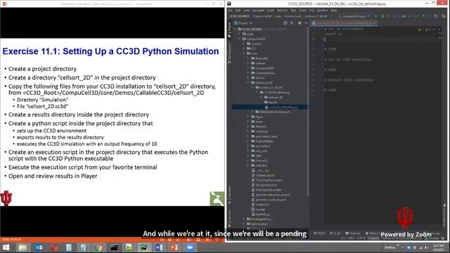 E443/E543 Muticellular Modeling Lecture 11 April 6 2021 Python-Callable CompuCell3D and Delta Notch смотреть онлайн