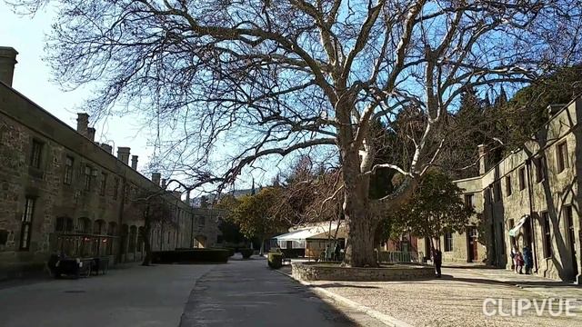 АЛУПКИНСКИЙ ДВОРЦОВО- ПАРКОВЫЙ МУЗЕЙ- ЗАПОВЕДНИК. смотреть онлайн