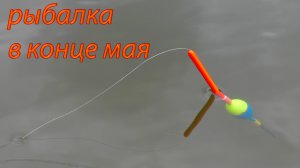 Рыбалка на речке. Супер клёв в конце мая 2022.